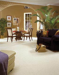 Carpet Stores Yuma Az Flooring America